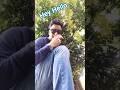 Hey Hello This Is DSP || Trending || #dancemusic #love #song #shortsfeed #shorts