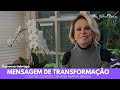 MENSAGEM DE TRANSFORMAÇÃO E FELICIDADE DA ANA MARIA BRAGA | ANA MARIA BRAGA