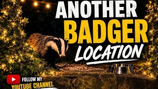 Another Badger Location  27.7.26