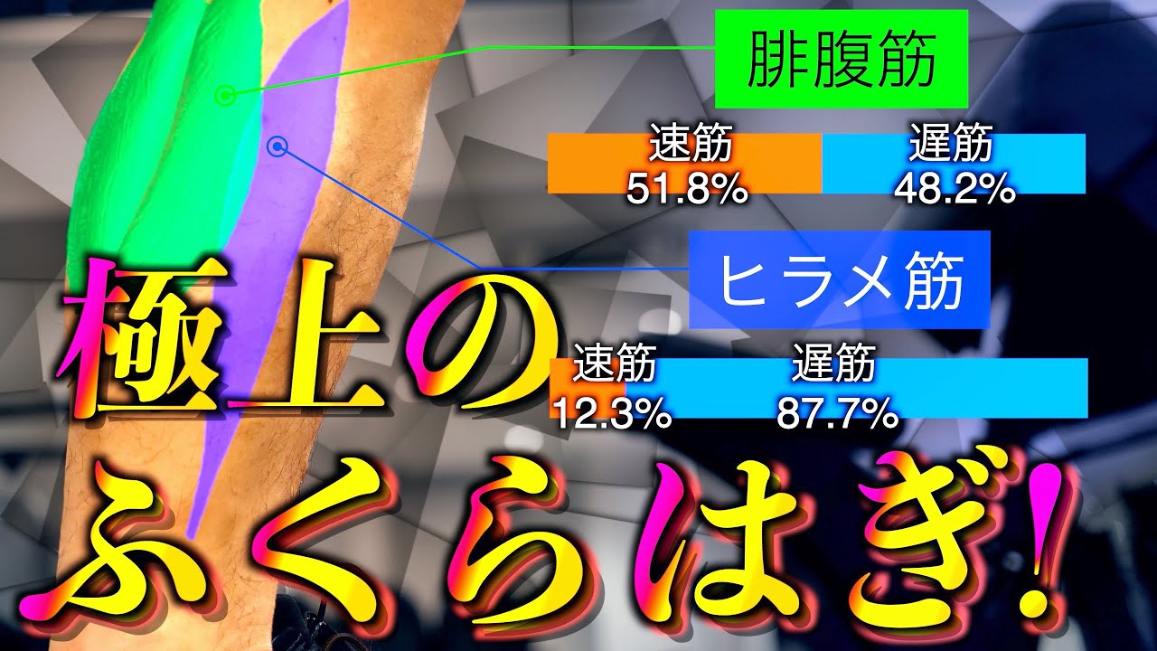 【筋トレ】ふくらはぎの全てを置いてきた動画。