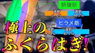 【筋トレ】ふくらはぎの全てを置いてきた動画。