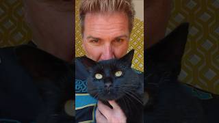 Information Sorry Not Sorry, there's only one BINX !!!! Guide