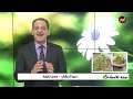 تنظيم الهرمونات وصفات ونصائح مع خبير الاعشاب حسن خليفه 