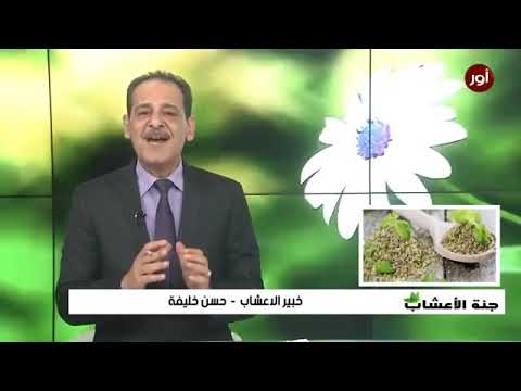 تنظيم الهرمونات وصفات ونصائح مع خبير الاعشاب حسن خليفه