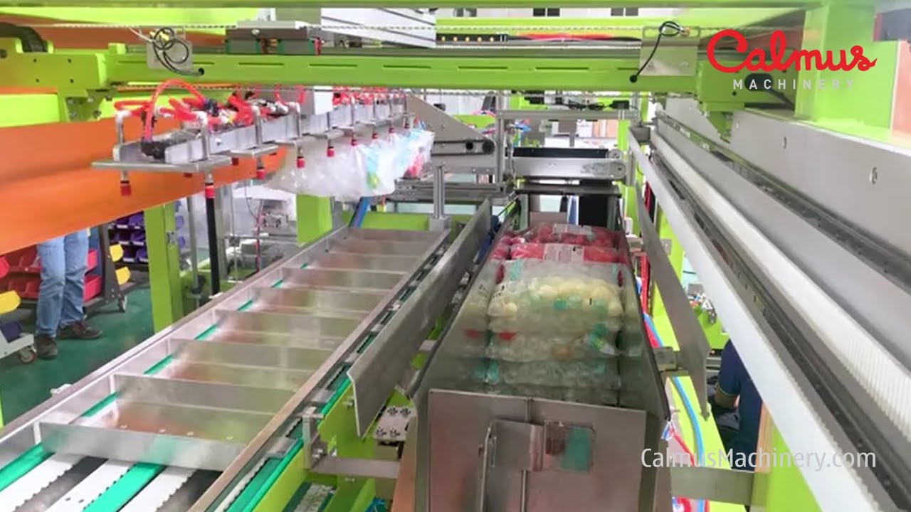 Case Packer for Bags - Erect-Insert-Seal Monoblock Cartoning Machine