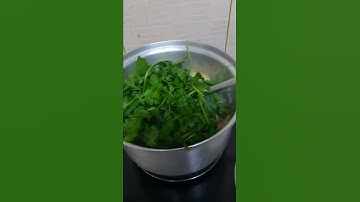 MONGGO,TALONG WITH AMPALAYA MENU.