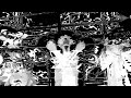 EsDeeKid x Jerk Type Beat 2026 - “Shut It Down” EsDeeKid Type Beat