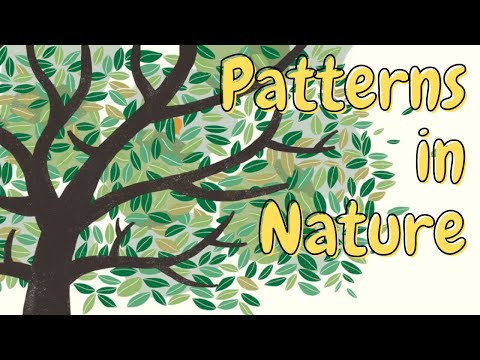Patterns in Nature | Short Stories for Children