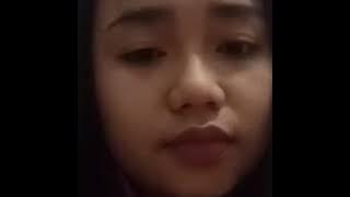 Cemara biru aulia DA4