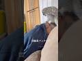 風邪で寝込み中の父ちゃんにかまちょするフクロウ#フクロウ　#owl