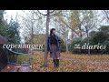 life in copenhagen 🐈 fall outfits, trip to aarhus, and daily life (study abroad diary 6)