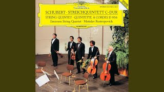 Video thumbnail of "Mstislav Rostropovich - Schubert: String Quintet in C Major, D. 956 - II. Adagio"