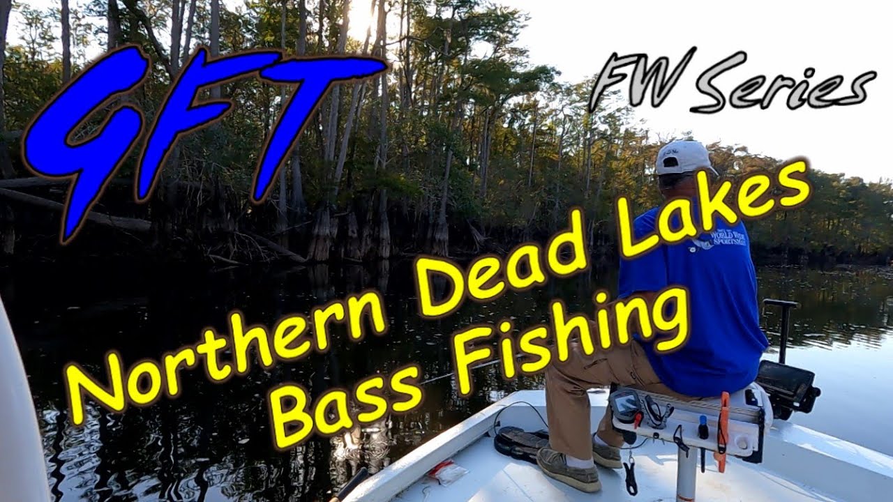 Bass Fishing the Northern Dead Lakes, Fl, Oct '22 YouTube