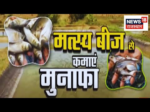 Annadata: मतस्य बीज से कैसे कमाएं मुनाफा ? Pisciculture 