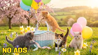 12 Hours Healing Cat Music 🌙 Cozy Moonlight Melodies for Deep Sleep & Gentle Reassurance