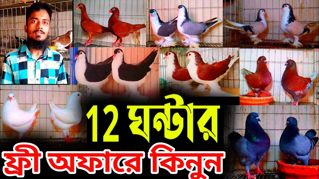 12 ঘন্টার ফ্রী অফার || ডেলিভারি চার্জ সম্পুর্ন ফ্রী || সবচেয়ে কম দামে