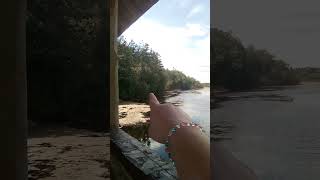 Crossing the Bridge at the Duck Park to the island. Used to do Youth Volunteer Corps with sibs '90s