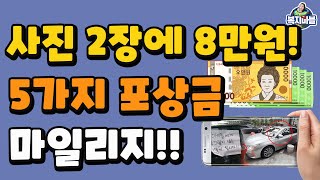 공무원 확인 없이 즉시 8만원! 5가지 신고포상금, 마일리지 제도! 알려드립니다~