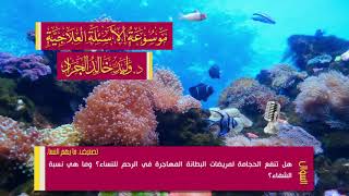 السؤال [1162] [13-49]: هل تنفع الحجامة لمريضات البطانة المهاجرة في الرحم للنساء؟ وما هي نسبة الشفاء؟