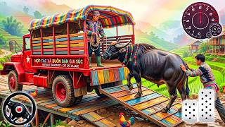 Animal Cargo Truck Driving Game 3D - Animal Transport Cargo Truck 2026 - Android Gameplay