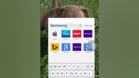 How to get shou updated IOS 8.1.3