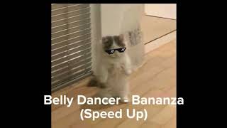 Belly Dancer- Bananza (speed up)