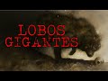 LOBOS GIGANTES: Cazadores del Norte|Criptozoologia