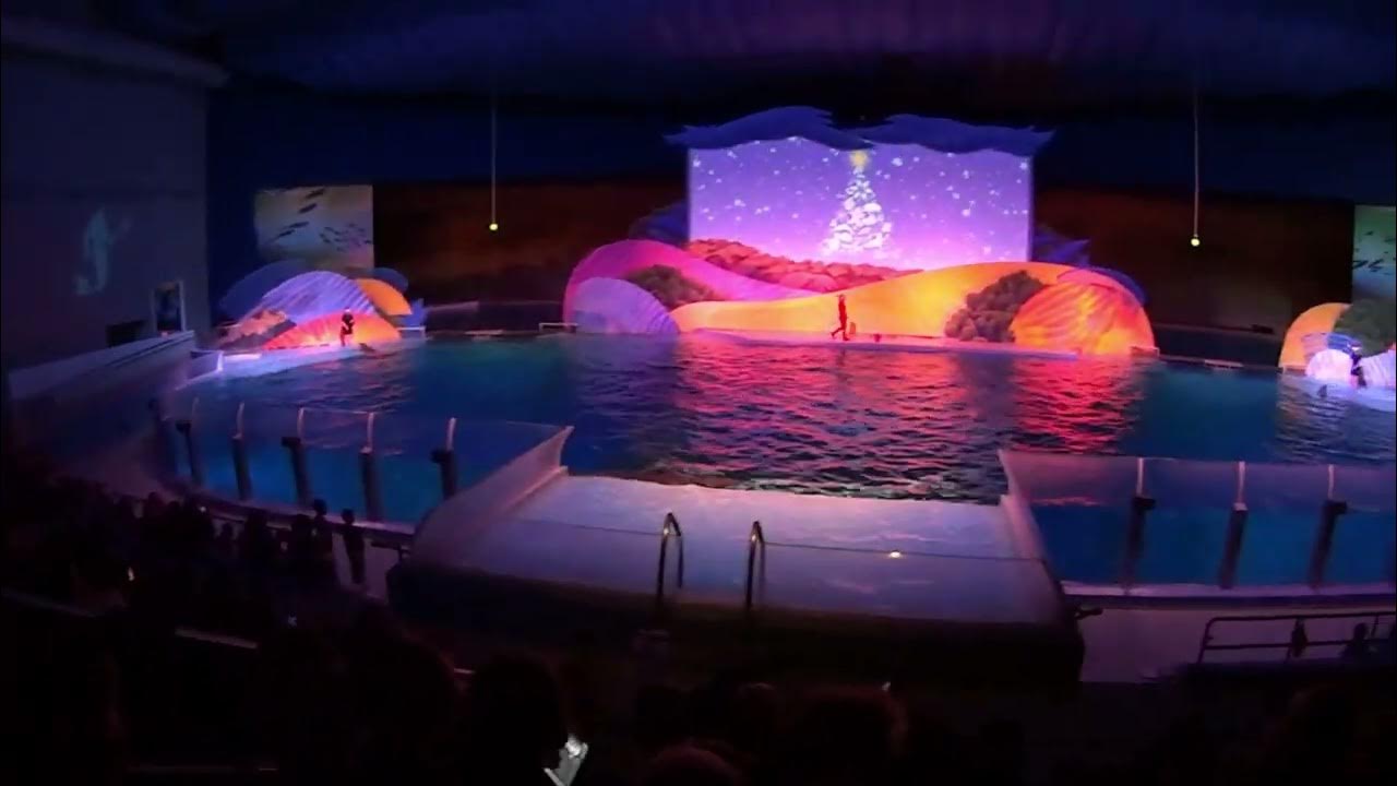 Christmas at the Indianapolis Zoo YouTube