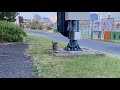 餌やりさんを猫ちゃん達と待ちながらGenTube がライブ配信中!#live配信
