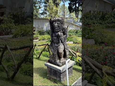 صور مجمعه لي بونشاك انتظرو فيديوهات بالي أندونيسيا