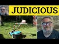  judicious meaning  judicious examples  judicious in a sentence  define judicious  formal