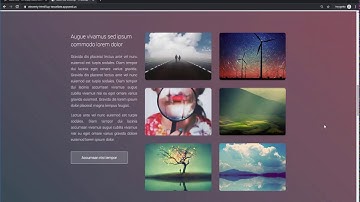 Static Site Eleventy - HTML5up Tessellate | AppSeed