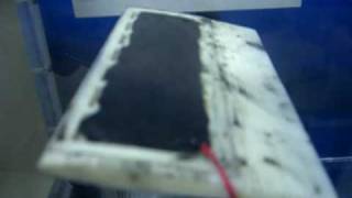 CIMG0510.AVI