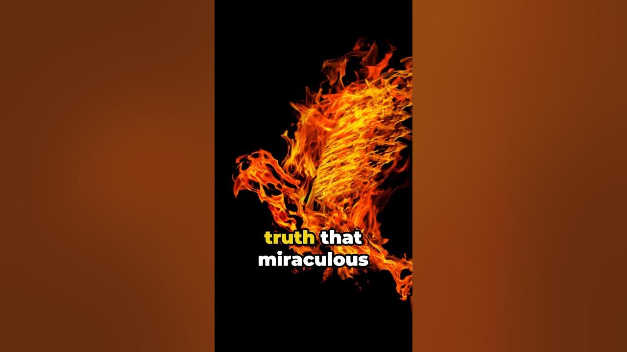 manifesting-the-holy-spirit-s-power-mark-16-verse-17-to-18-youtube