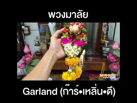 พวงมาลัย ภาษาอังกฤษ Garland ออกเสียง | Aeyducation