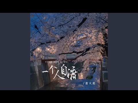 yi ge ren zi du 一个人自渡 karaoke female