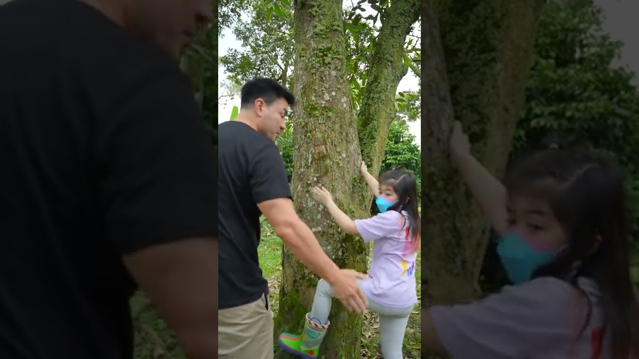กินทุเรียนต้องกินกันจากต้นเลยนะครับ | Boriboon Family