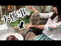【久々のフクロウのお散歩】cute owl ハプニング続発…もりちゃんのお散歩！