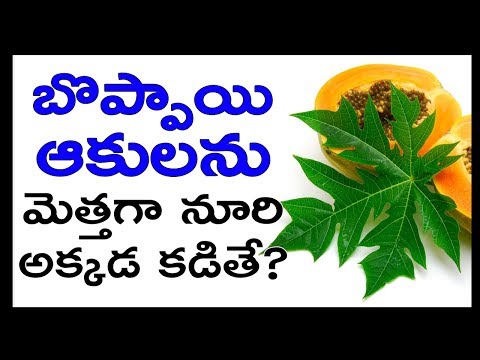 Video OMG! Papaya Leaves Benefits For New MOMs | బొప్పాయి... - youtube