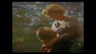 Chris de Burgh - The Tower