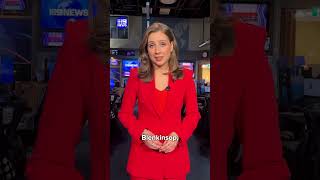 Celebrity crocodile wrangler Matt Wright jailed | 9 News Australia