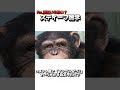 Re.別にいらない？スティーブ雑学 番外編【スマブラSP】