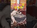 LilyЁЯдТЁЯдТЁЯШЮЁЯШЮ LilyЁЯдТЁЯдТЁЯШЮЁЯШЮ