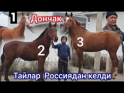 Video: Британдык орто кылымдын шедеврлерине окшогон кичинекей таш скульптураларды оюп жатат