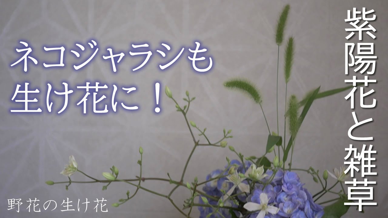 じゃれねこ『2月☆22 紫陽花×パープル系フラワー』 【公式通販】