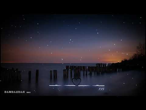 2020華語網絡流行音樂 ||《怎麼做怎麼過怎麼活》|| 黃靜美 || 動態歌詞