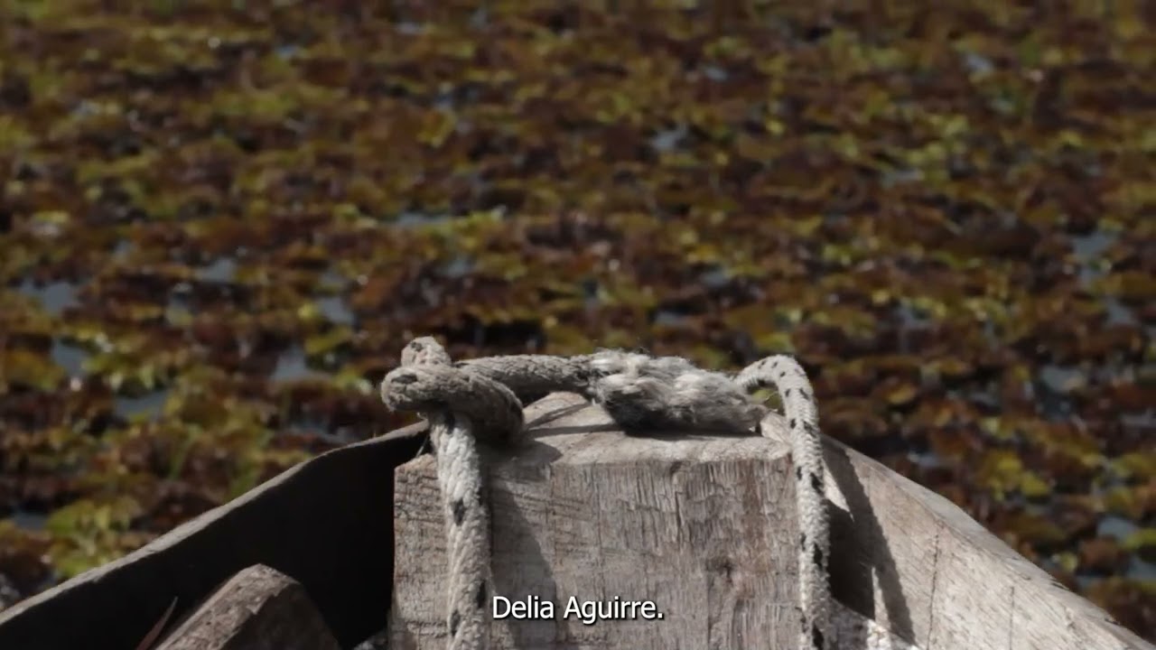 Trailer "fantasmas del yvera"