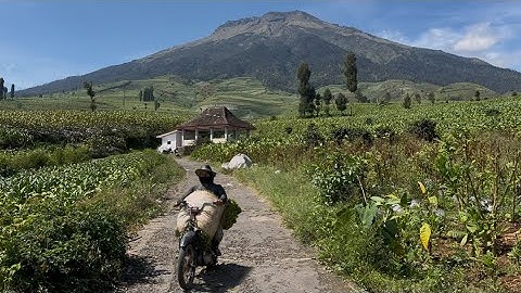MasyaAllah..!! Indahnya Alam Desa Lereng Gunung Sumbing Kabupaten Temanggung Jawa Tengah