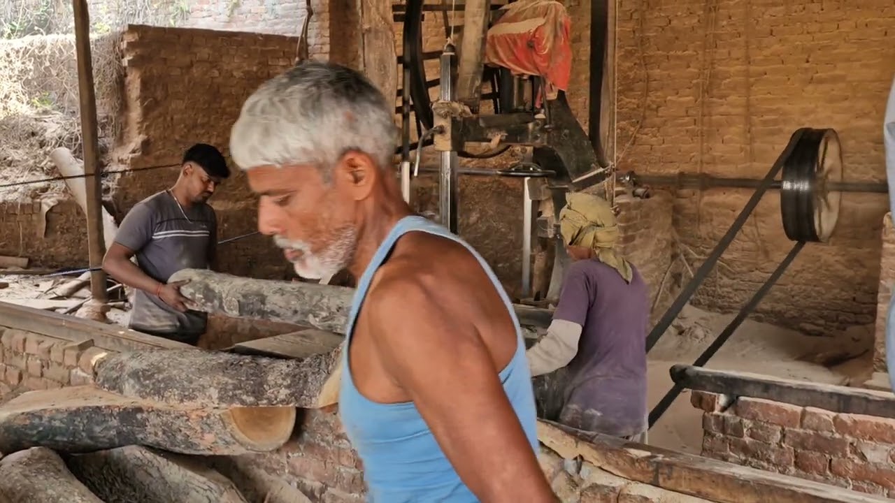 How we cut the wood sawmill | Indian style cutting saw mill 