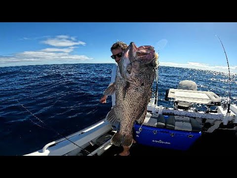 BIG DHUFISH on jigs and plastic